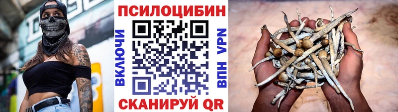 hydra зеркало  где продают   Тула  Псилоцибиновые грибы прущие грибы 