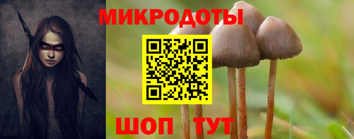 Галлюциногенные грибы Psilocybine cubensis  Вход с VPN  Тула 